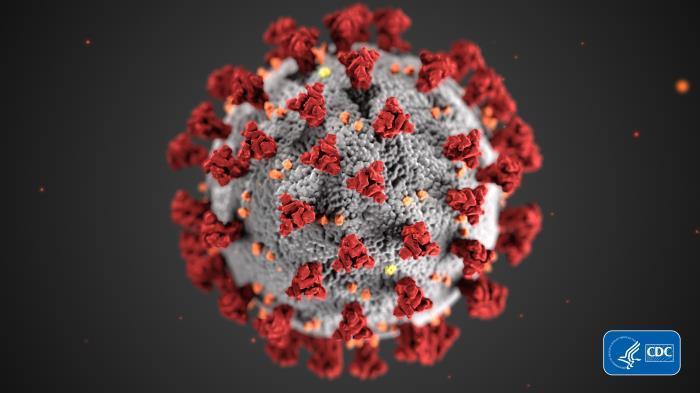 A molecular-level look at the coronavirus, COVID-19